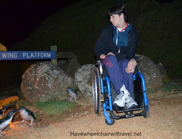 have wheelchair will travel