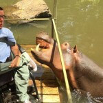 That time a hippo attacked me in South Africa…