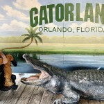 Soaring Over Gators: My Wild Experience on the Adaptive Zip Line at Gatorland