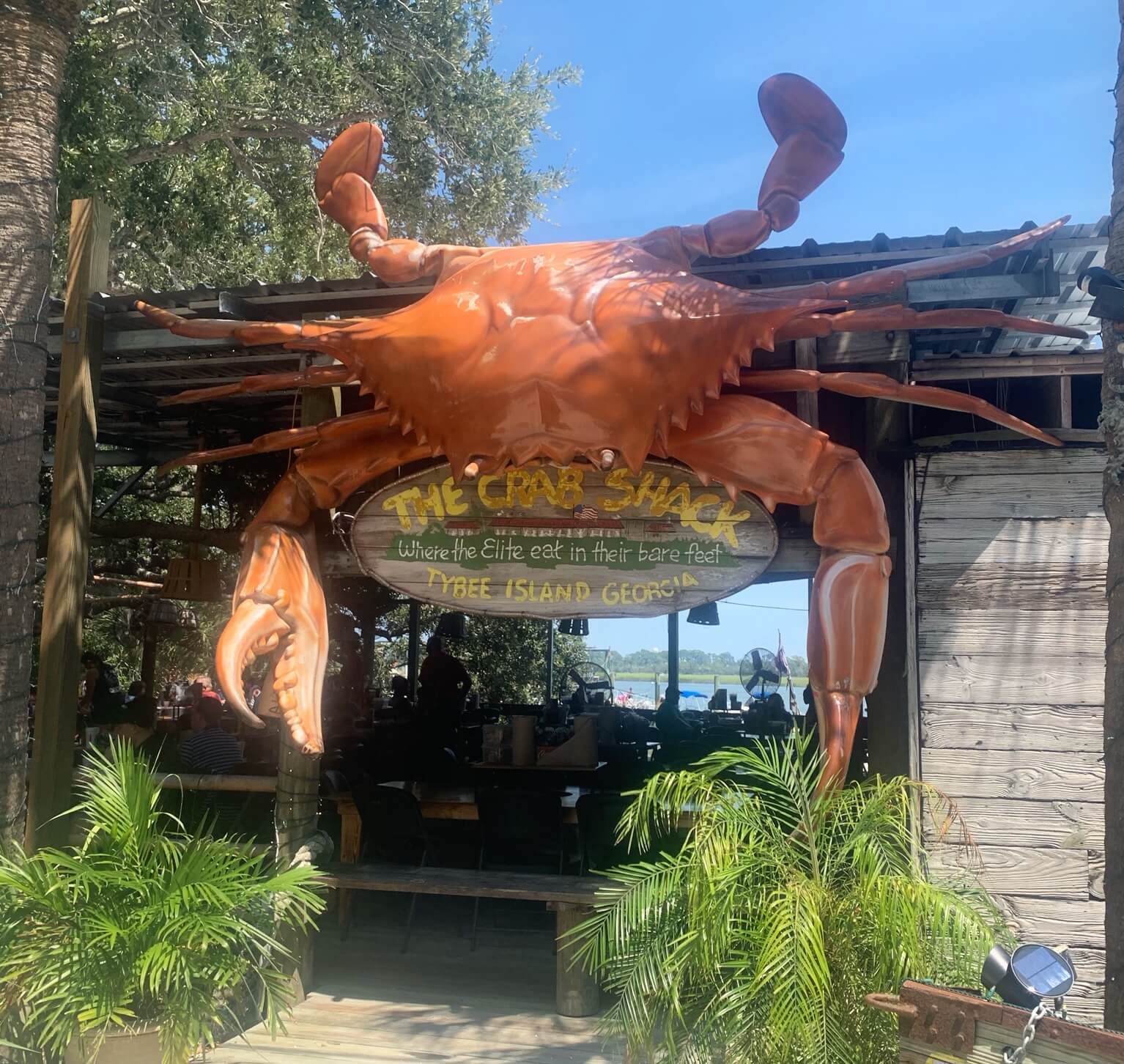 List 103+ Pictures The Crab Shack Tybee Island Photos Superb