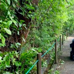 7 of the Best Wheelchair Accessible Things to Do in San Jose, Costa Rica