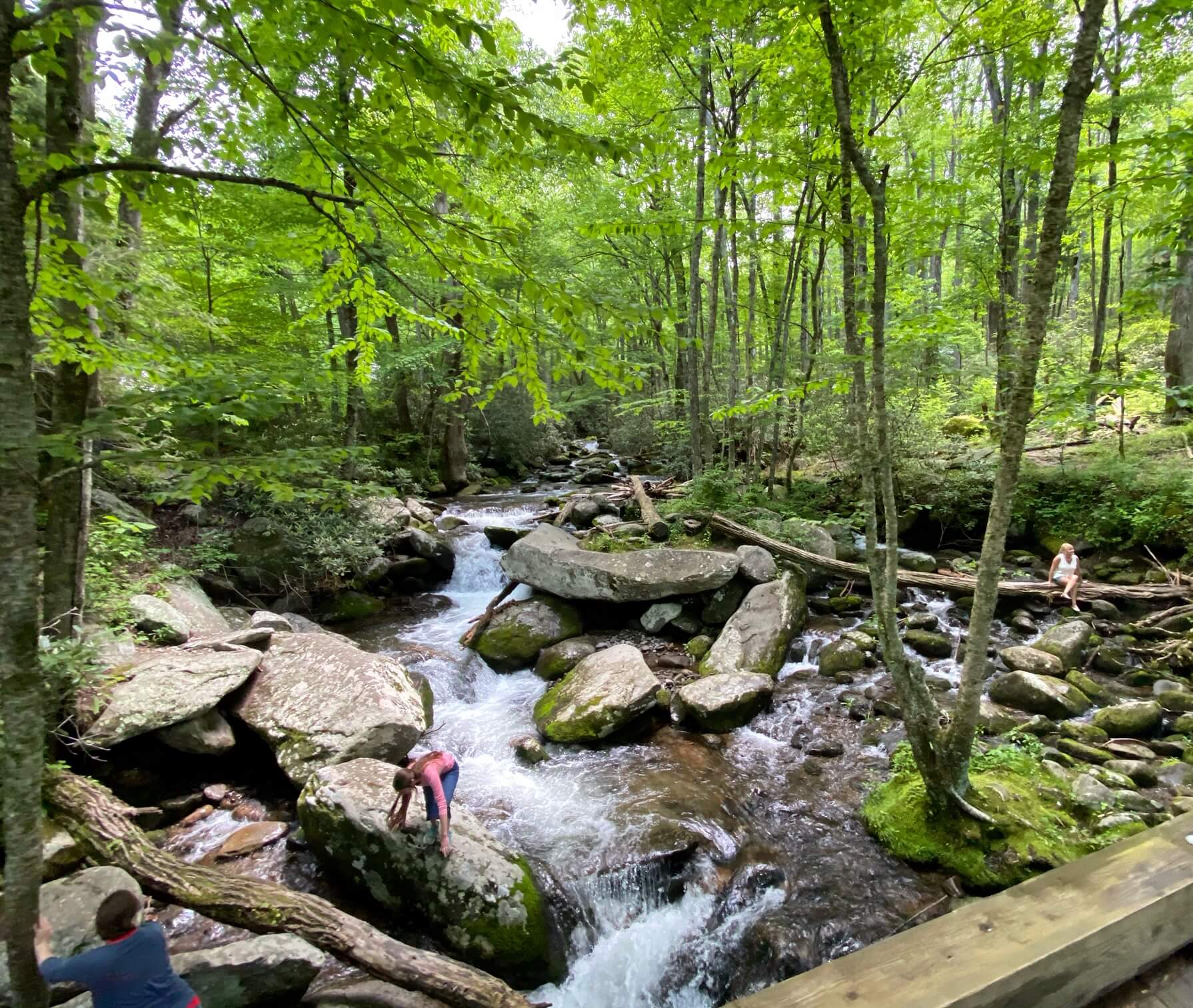 8 Wheelchair Accessible Things to Do in Gatlinburg Tennessee
