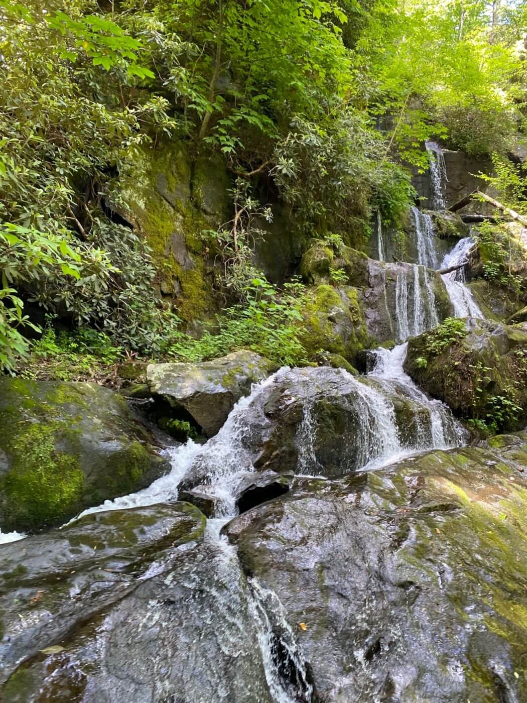 A Wheelchair Accessible Guide to Great Smoky Mountains National Park