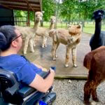A Fun Wheelchair Accessible Getaway to an Alpaca Farm in North Carolina