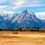A Wheelchair Accessible Jackson Hole, Wyoming Travel Guide