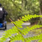 A Wheelchair Accessible Shenandoah National Park Travel Guide: What to Do and Where to Stay