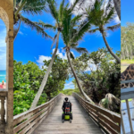 7 Wheelchair Accessible Things to Do in The Palm Beaches of Florida